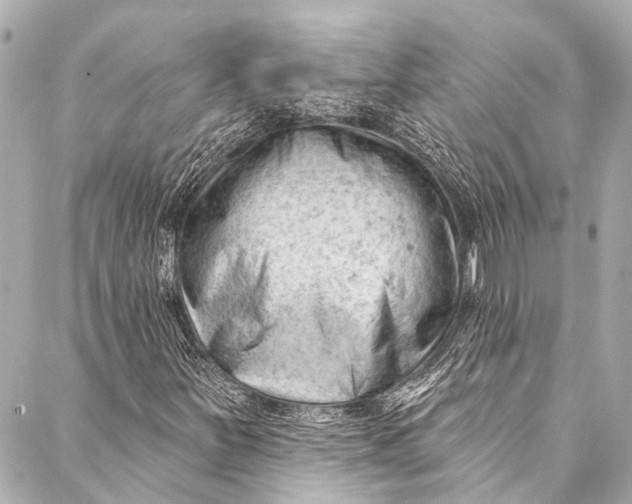 X0000087031251200705071526