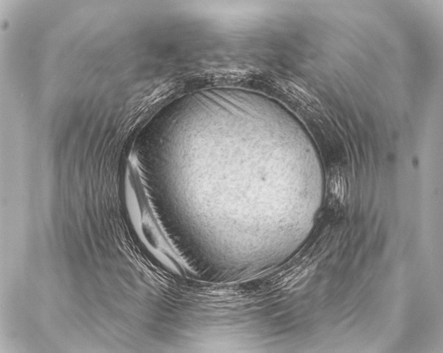 X0000087031252200705071526