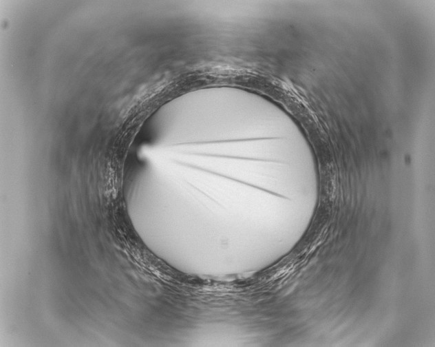 X0000087031253200705071526