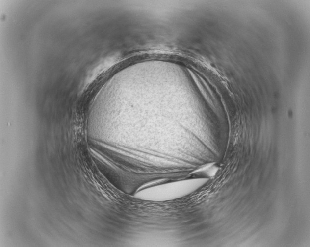 X0000087031255200705071526