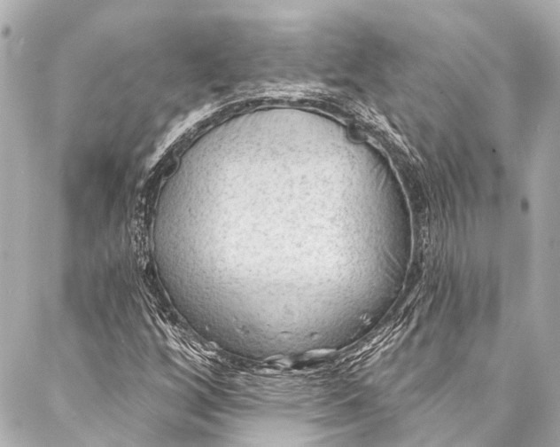 X0000087031256200705071526