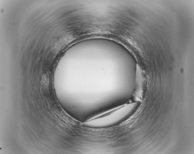 X0000087031257200705071526