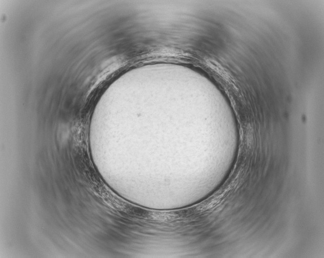 X0000087031258200705071526