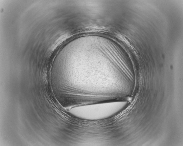 X0000087031259200705071526