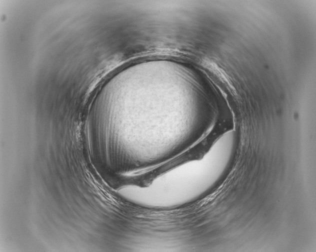 X0000087031260200705071526