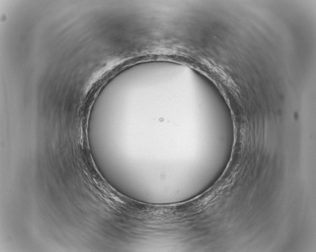 X0000087031262200705071526