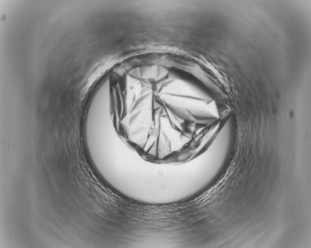 X0000087031263200705071525