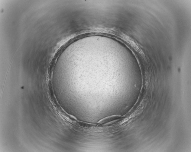 X0000087031264200705071525