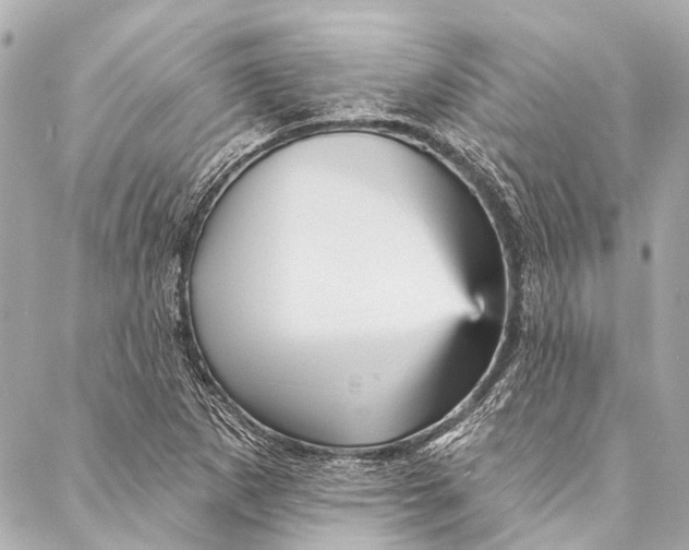 X0000087031265200705071525