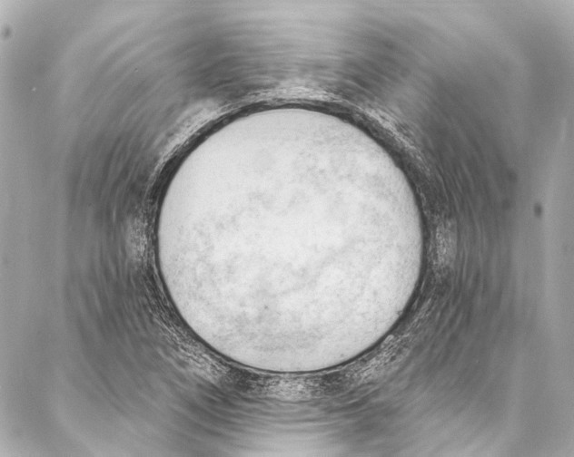 X0000087031266200705071525