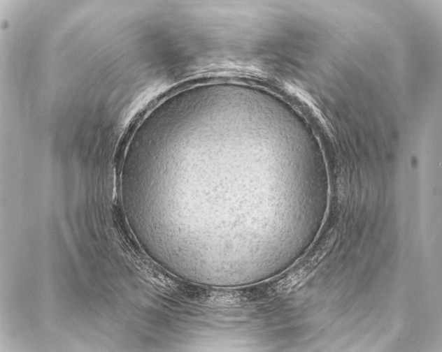 X0000087031267200705071525