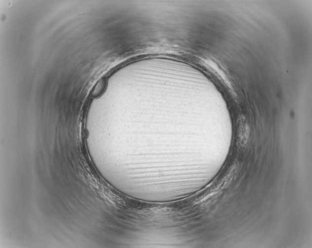 X0000087031268200705071525