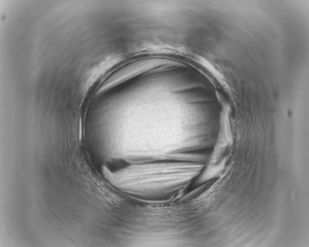 X0000087031269200705071525