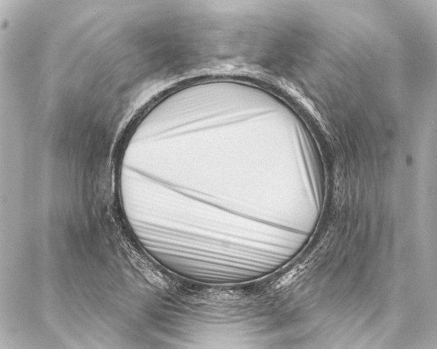 X0000087031270200705071525