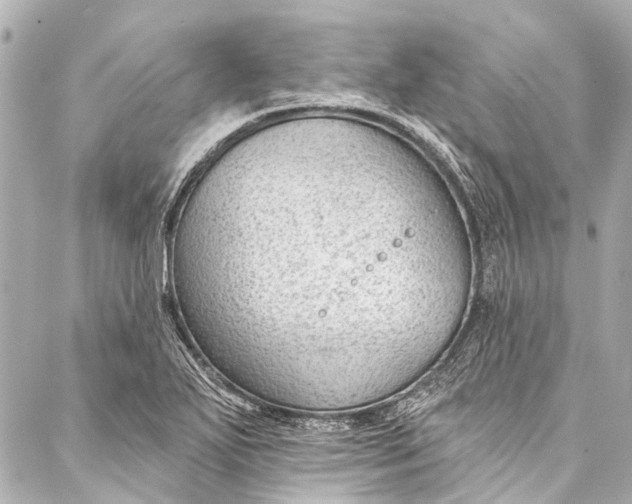 X0000087031271200705071525