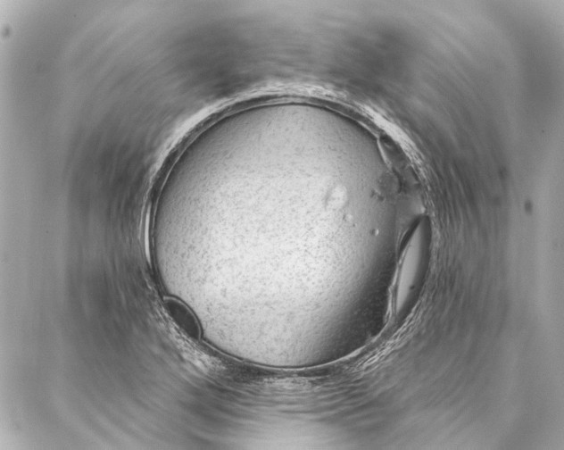 X0000087031272200705071525