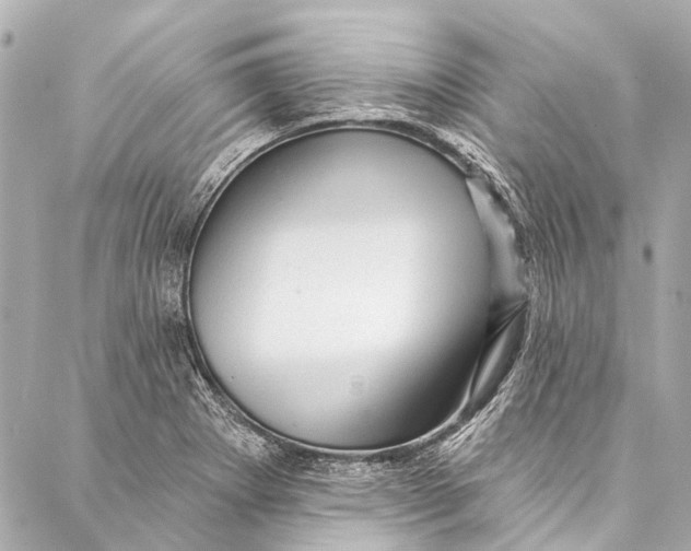 X0000087031273200705071525