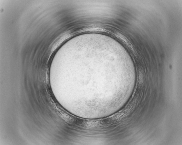 X0000087031274200705071525