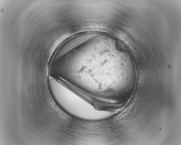 X0000087031275200705071525