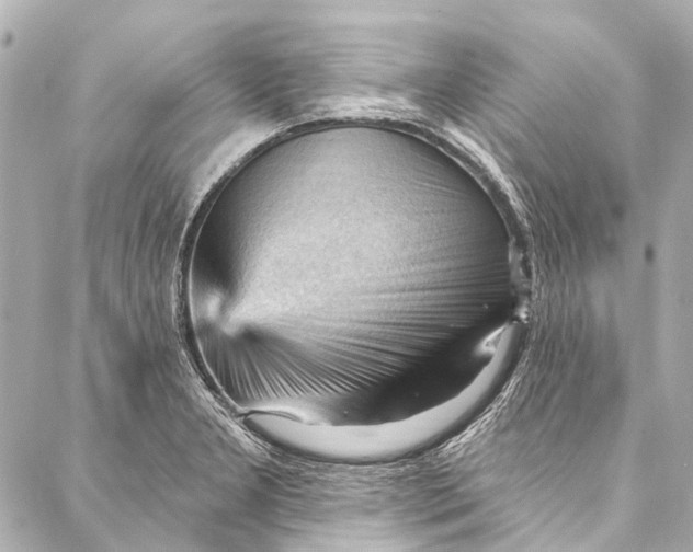 X0000087031277200705071525