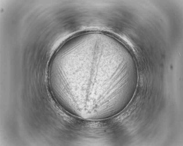 X0000087031279200705071525