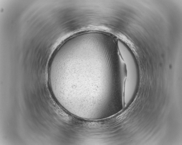 X0000087031280200705071525