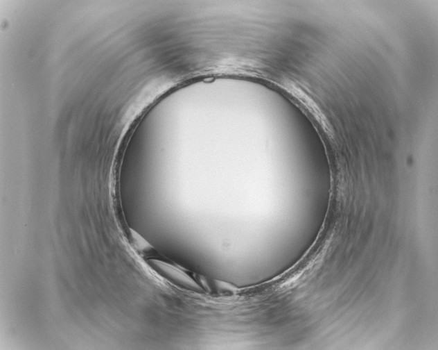 X0000087031285200705071525