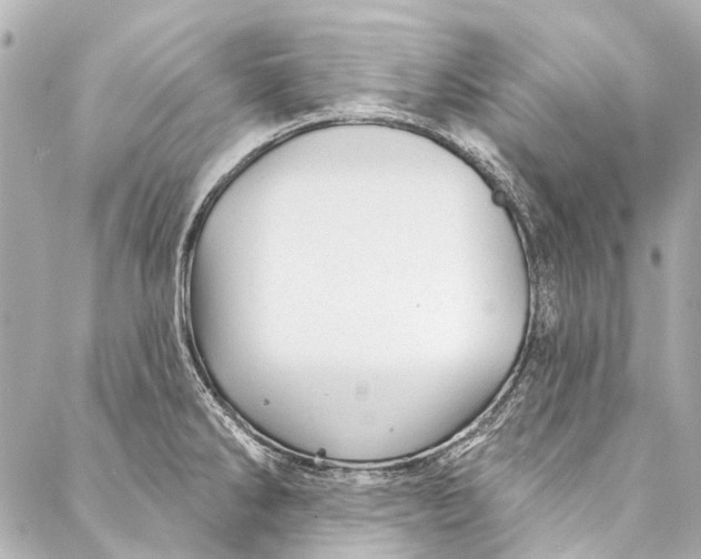 X0000087031286200705071525