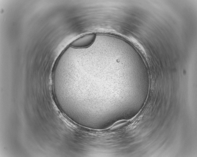 X0000087031287200705071525