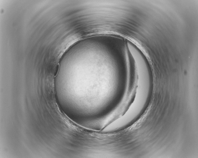 X0000087031289200705071525