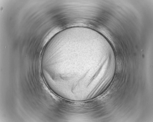 X0000087031290200705071525