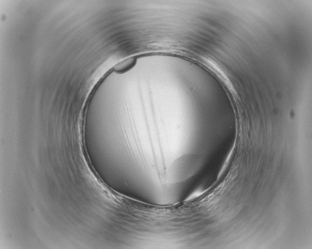 X0000087031291200705071525