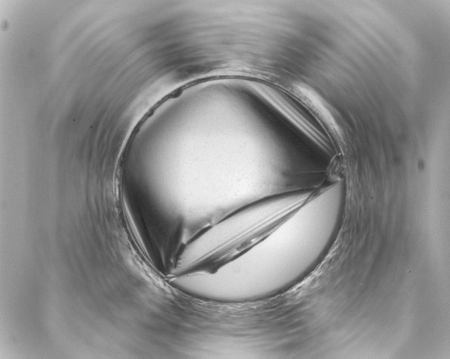 X0000087031292200705071525