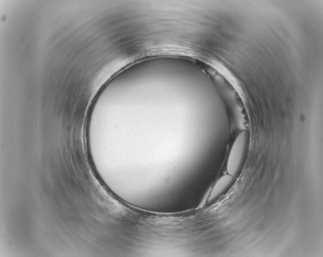 X0000087031293200705071525