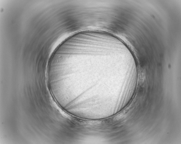 X0000087031294200705071525