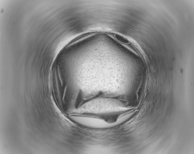 X0000087031295200705071525