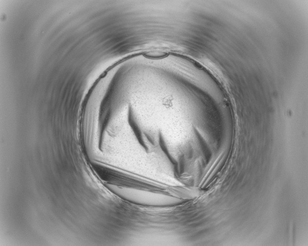 X0000087031296200705071525