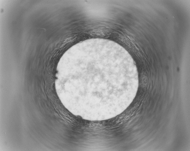 X0000087031297200705071524