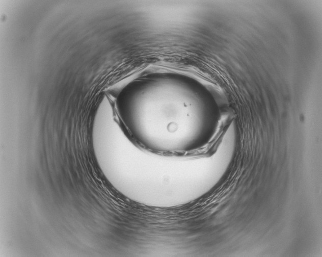 X0000087031298200705071524