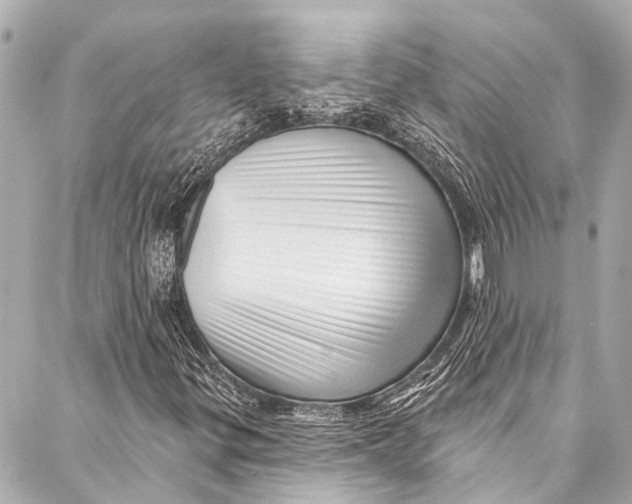 X0000087031299200705071524