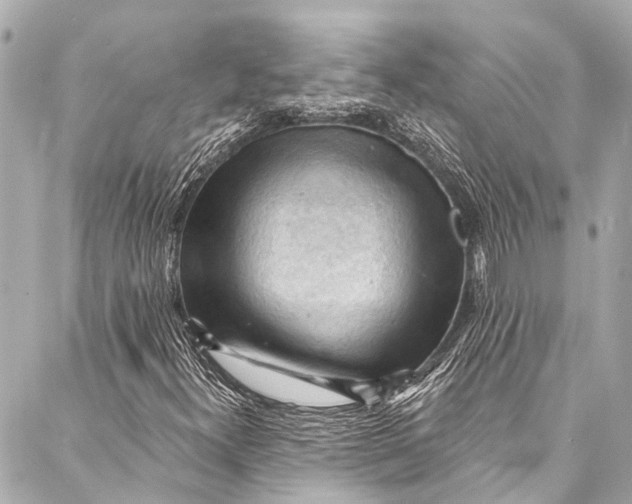 X0000087031300200705071524