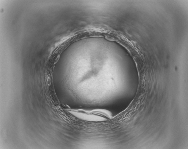 X0000087031303200705071524