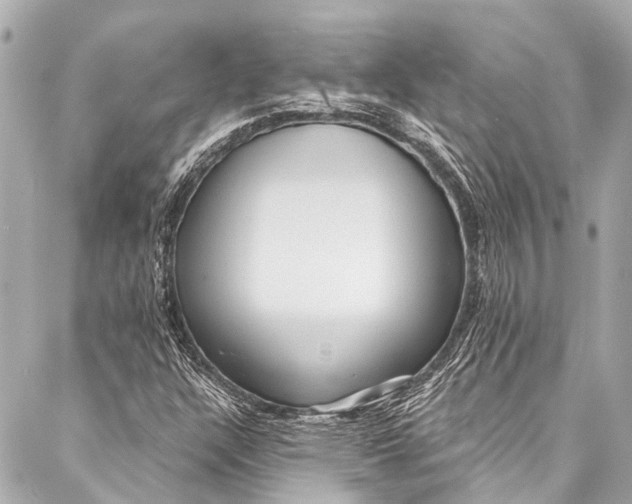 X0000087031304200705071524