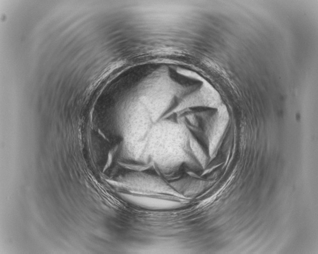 X0000087031305200705071524