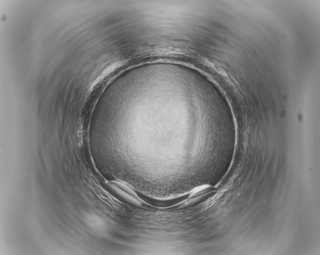 X0000087031306200705071524