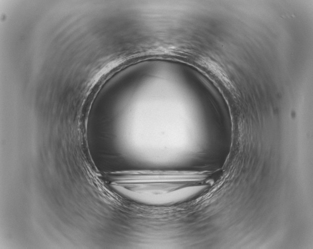 X0000087031308200705071524