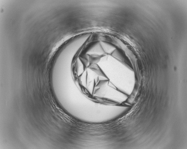 X0000087031310200705071524