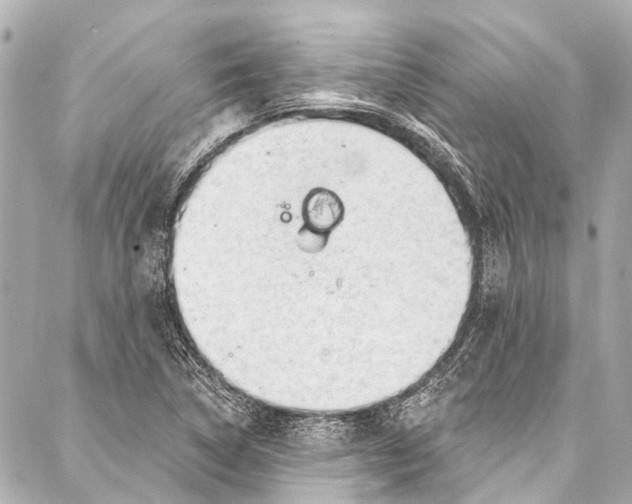 X0000087031314200705071524