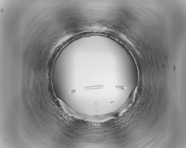 X0000087031315200705071524