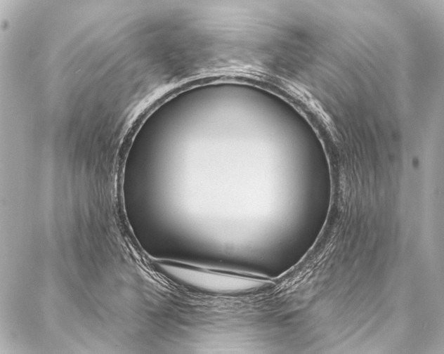 X0000087031316200705071524